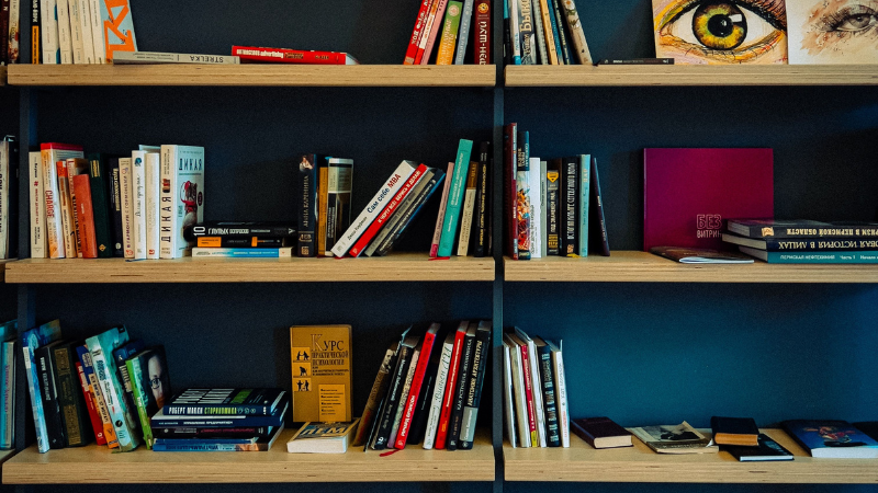 Modern Bookcase