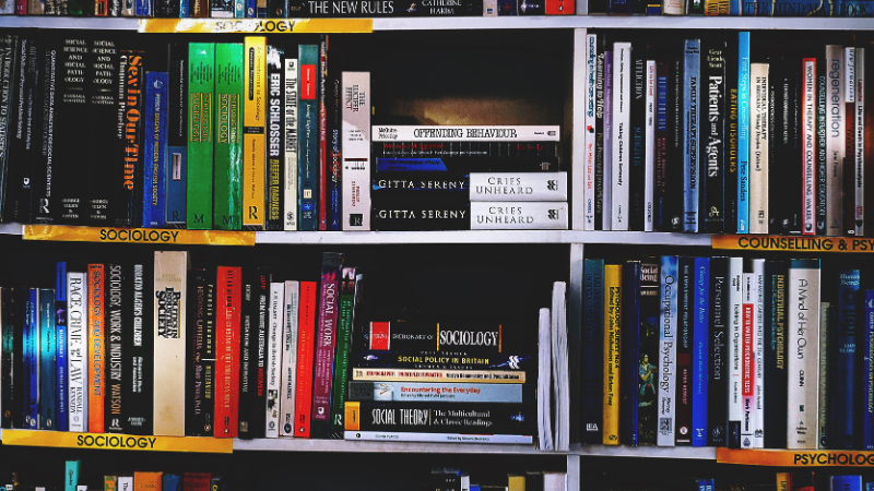Minimalist Bookshelf