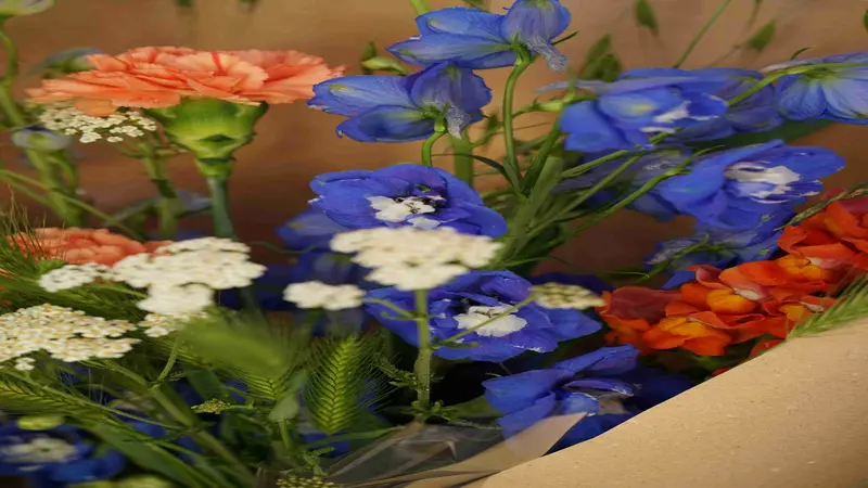 Blue Delphinium flower blooms arranged in a bouquet with white yarrow and orange flowers.