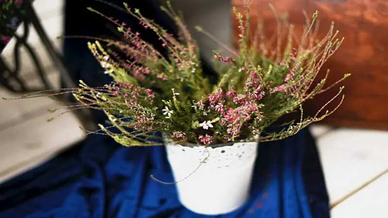 Wooden crates holding potted Heather flowers outside a flower shop.