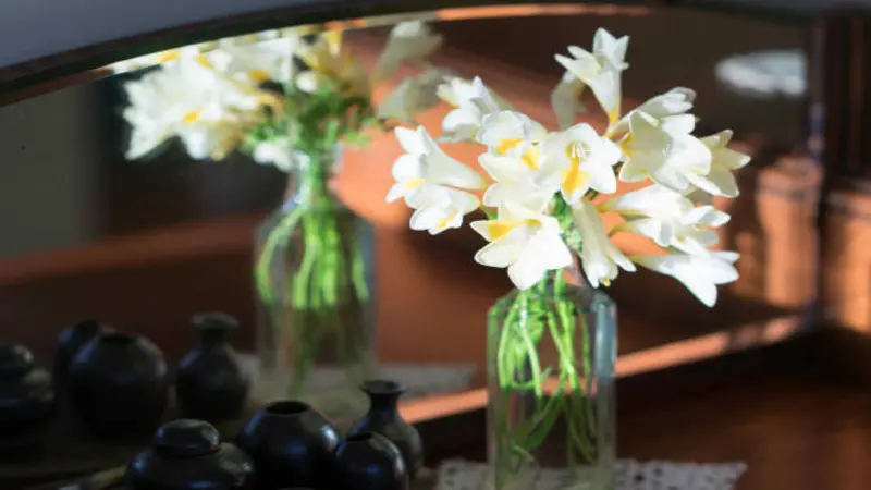 White Freesia flower stems arranged in small glass vases on a wooden table, reflected in a mirror.
