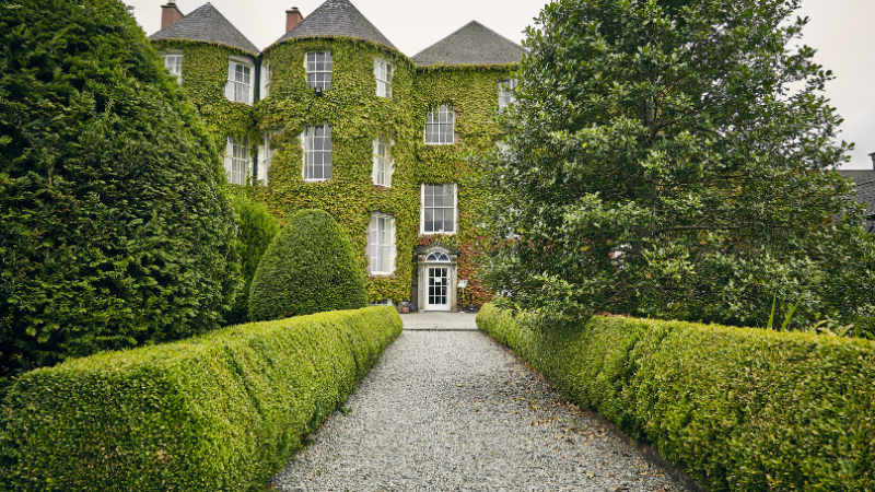 Elegant front garden with decorative plants
