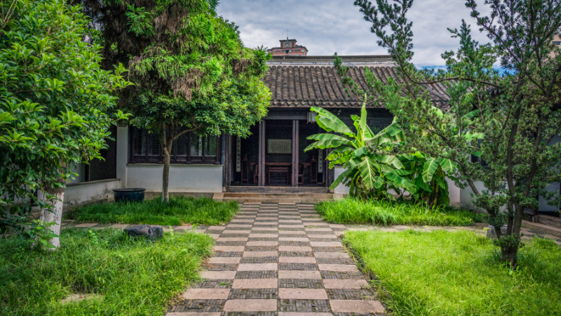 Modern front garden with ornamental plants