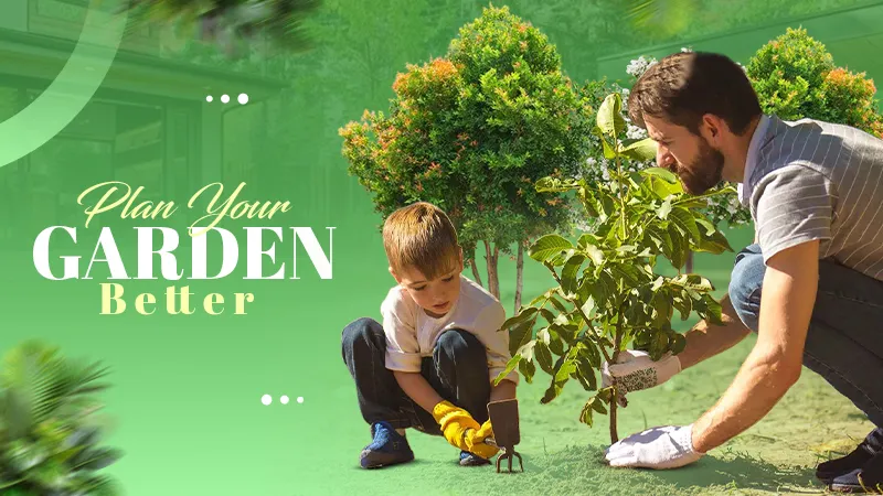 garden planning after tree removal