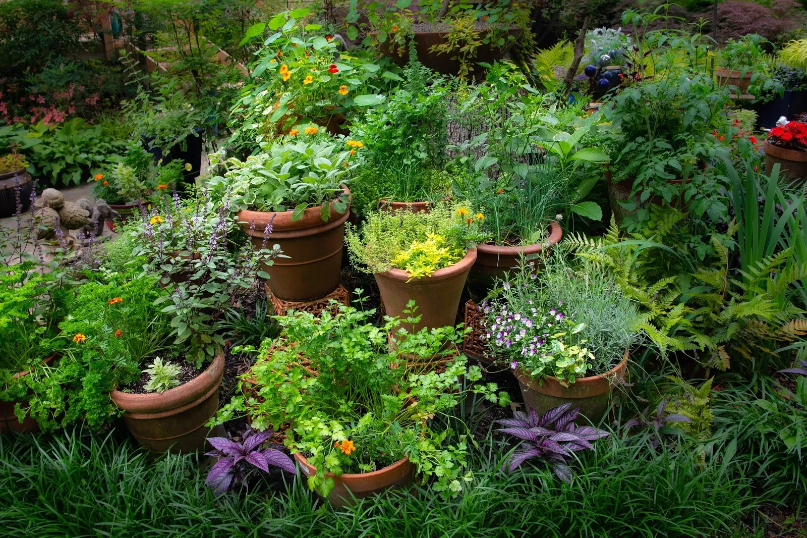 Herb Corners 3