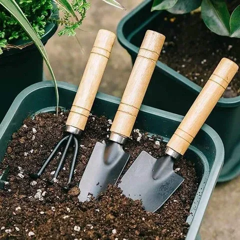 Garden Tools 2