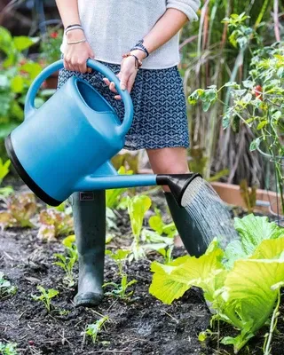 Garden Tools 3