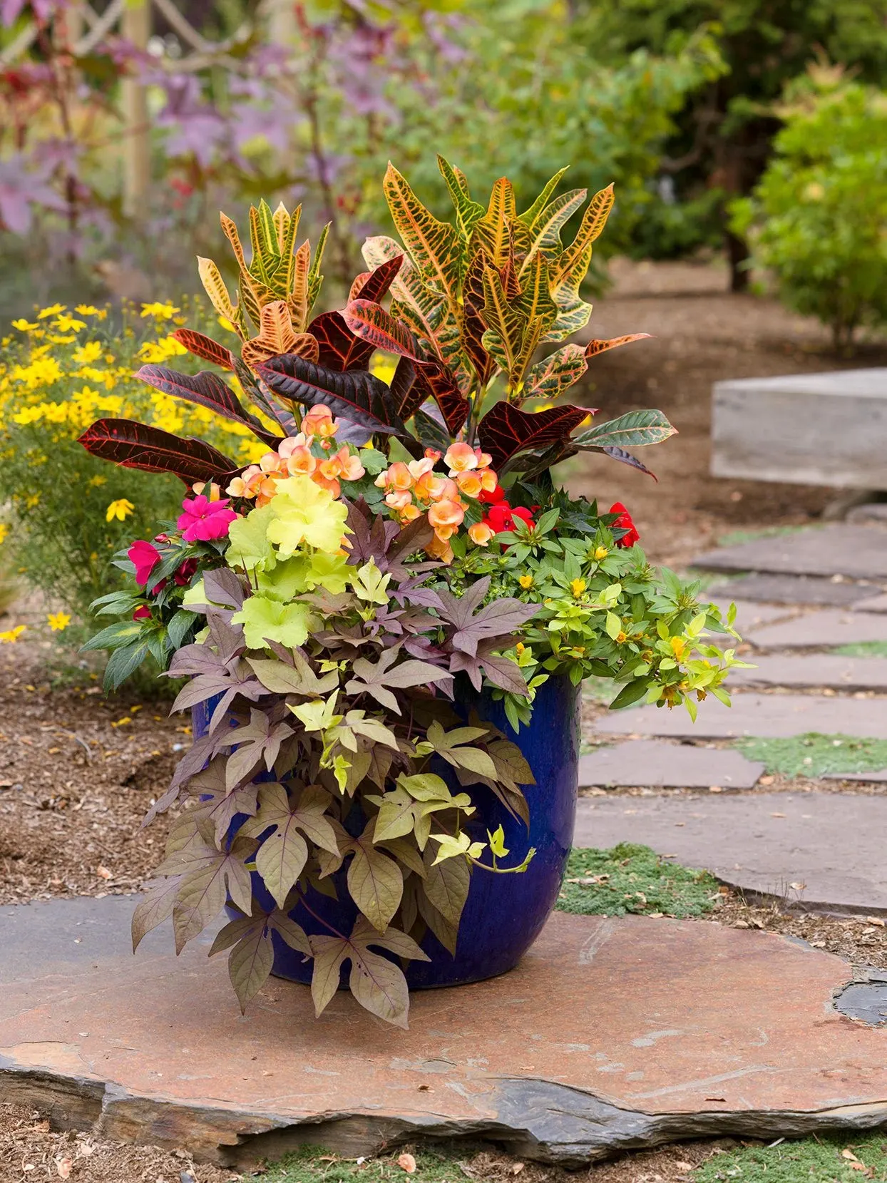 Garden Containers Pots 1