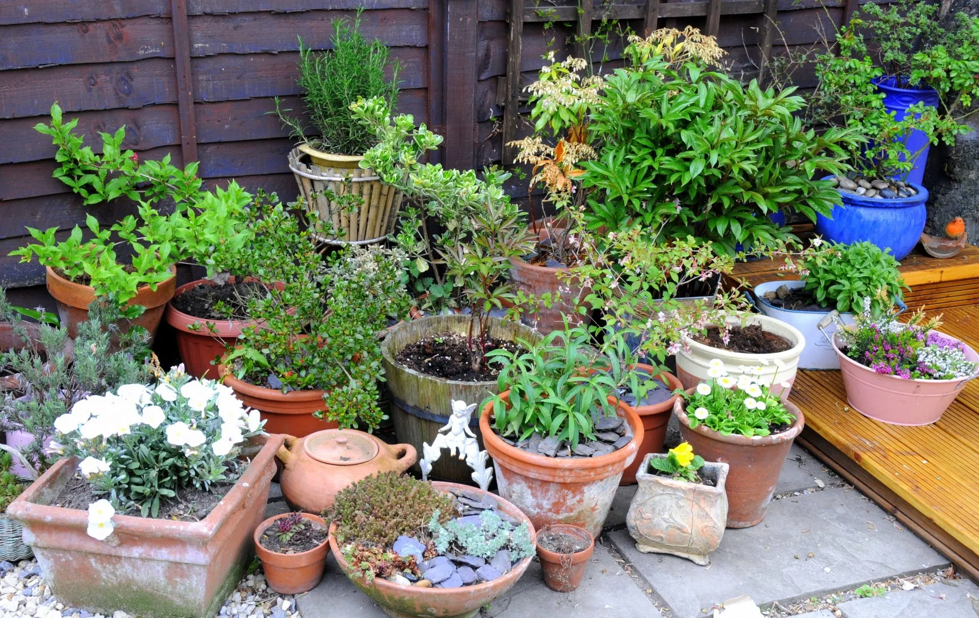Garden Containers Pots 2