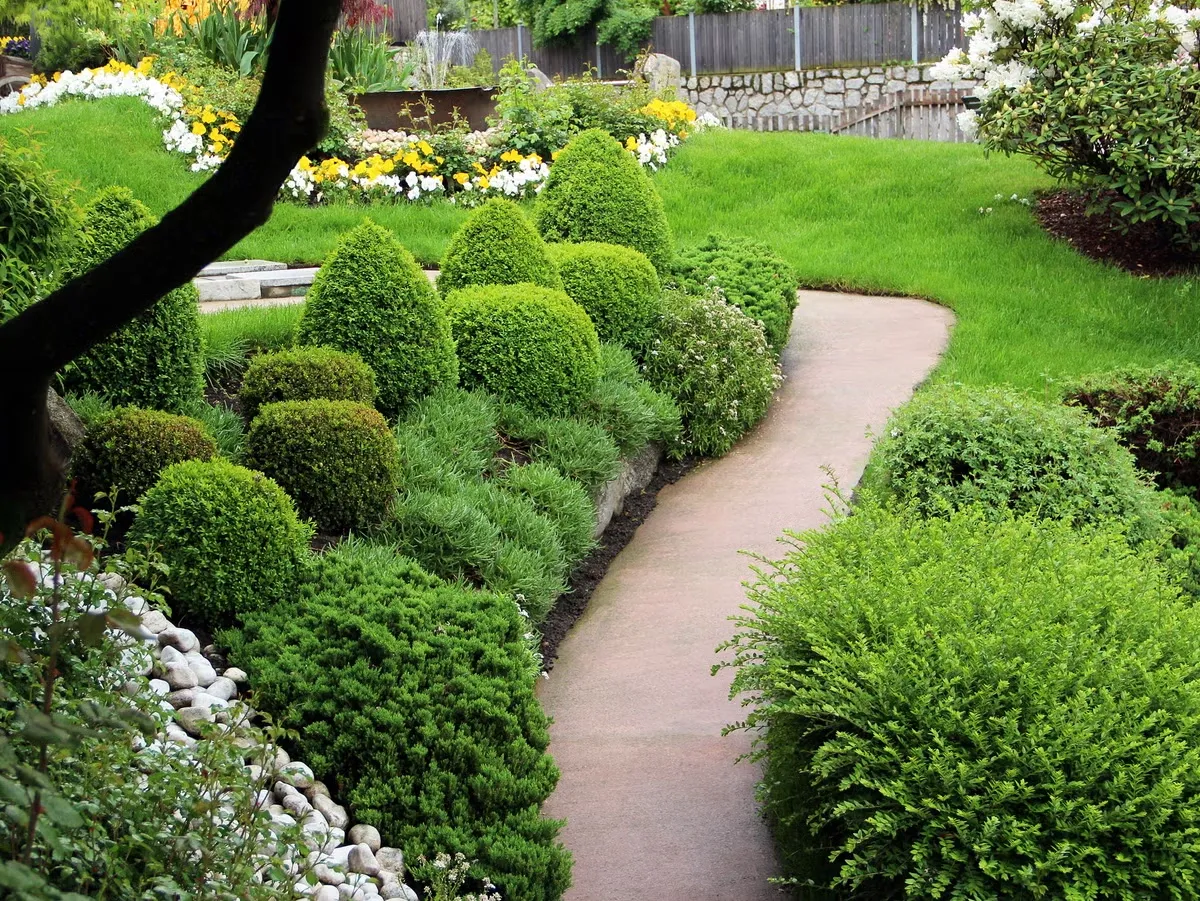 Shrubs 1