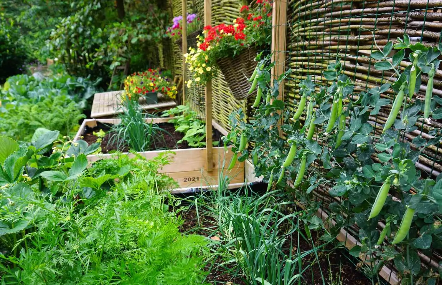 Vegetable Gardens 3