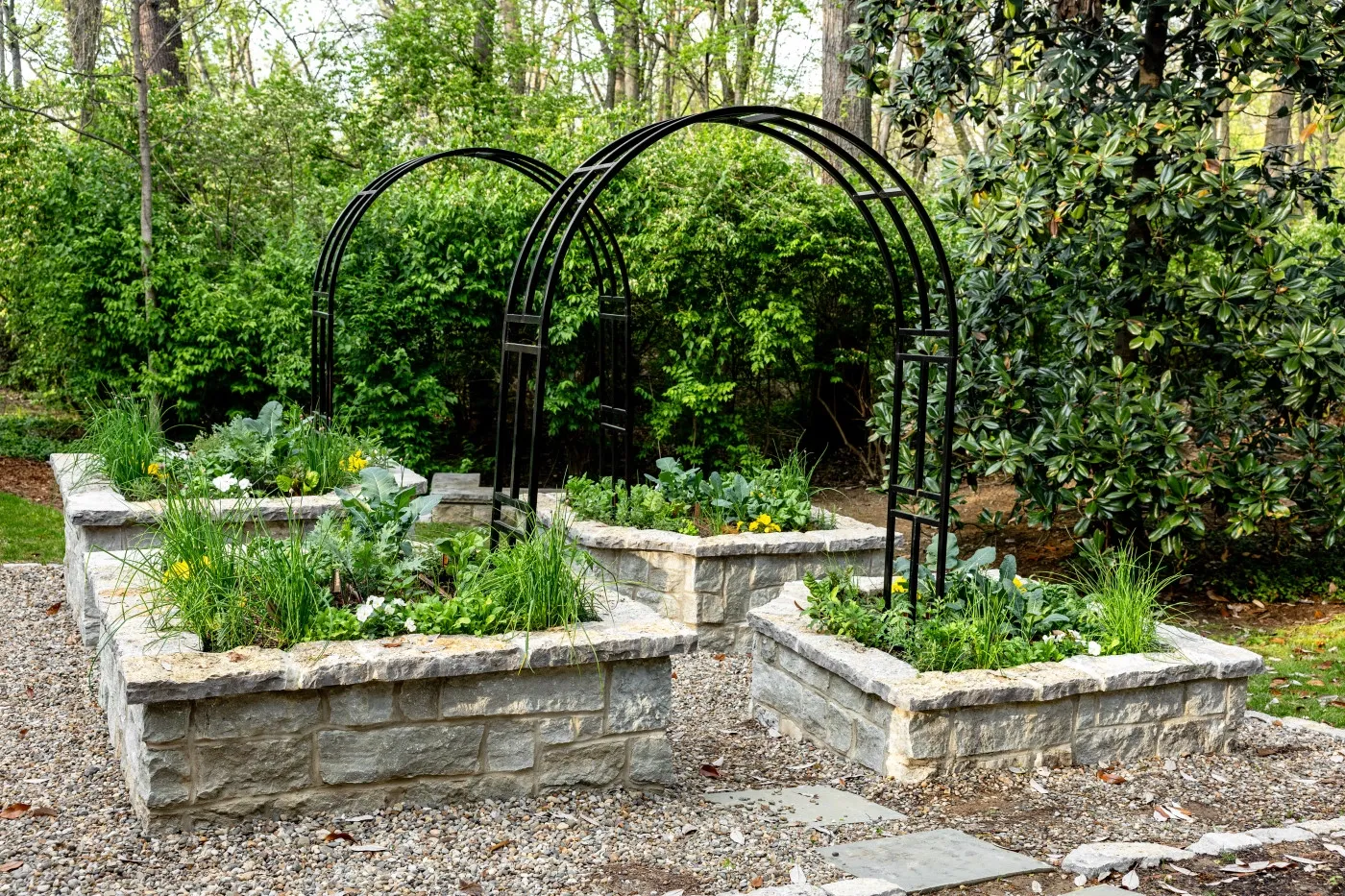 Vegetable Gardens 4