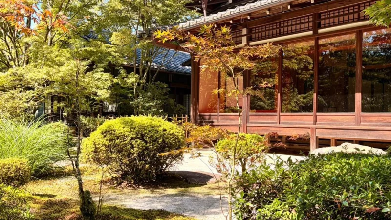 Peaceful Japanese garden with traditional design