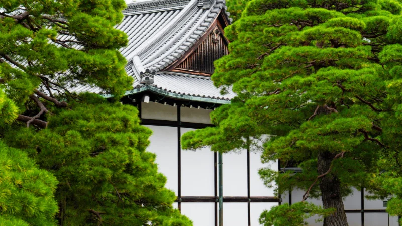 Japanese garden with koi pond
