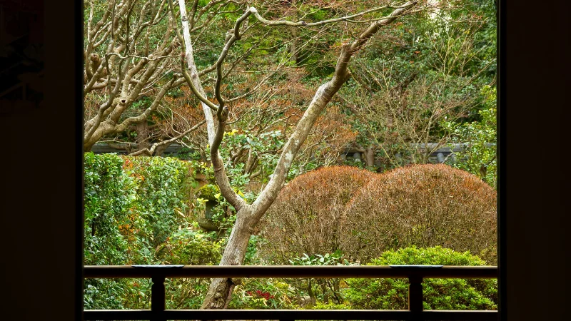 Stone pathway through a Japanese garden