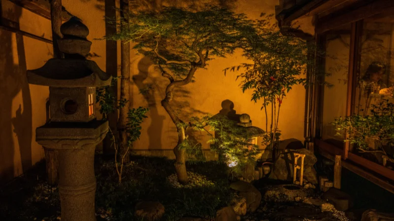 Japanese garden with bamboo and greenery