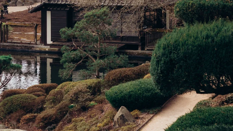 Japanese garden with waterfall