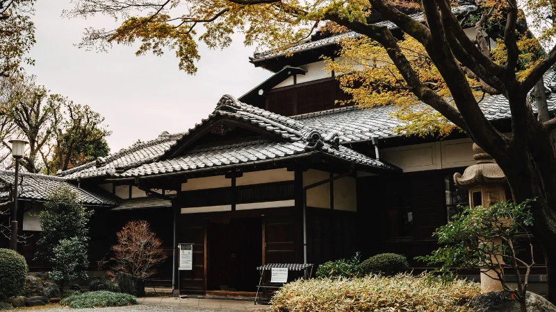 Traditional Japanese tea garden