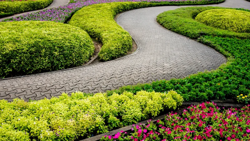 Modern landscape garden with ornamental plants