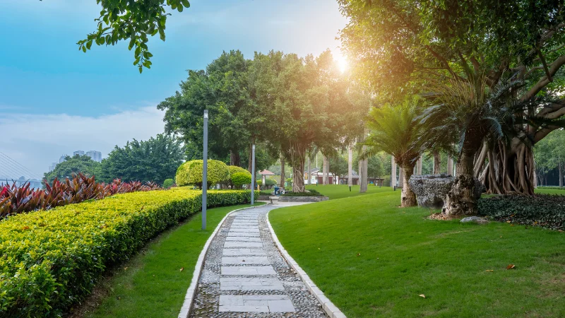 Scenic landscape garden with vibrant greenery