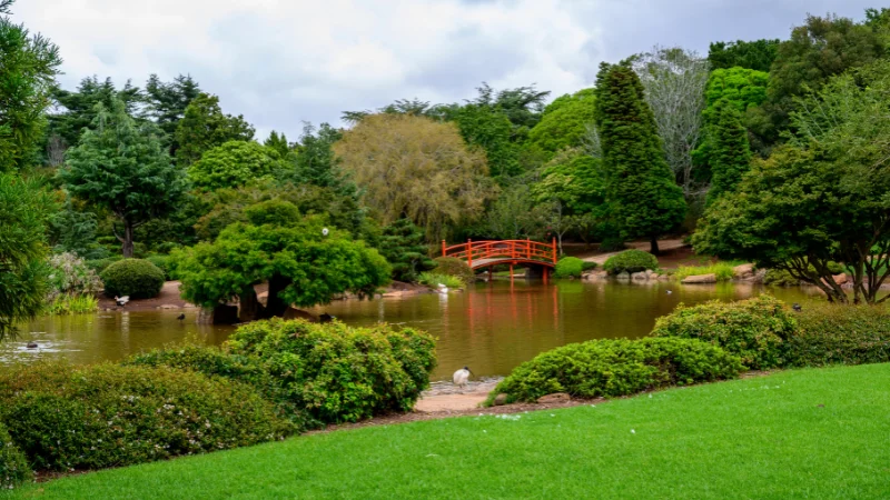 Landscape garden with welcoming entrance