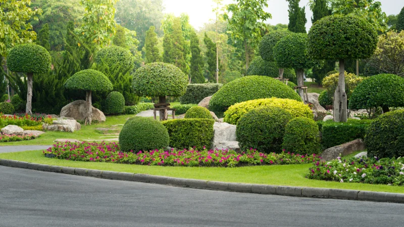 Stone pathway through a landscape garden