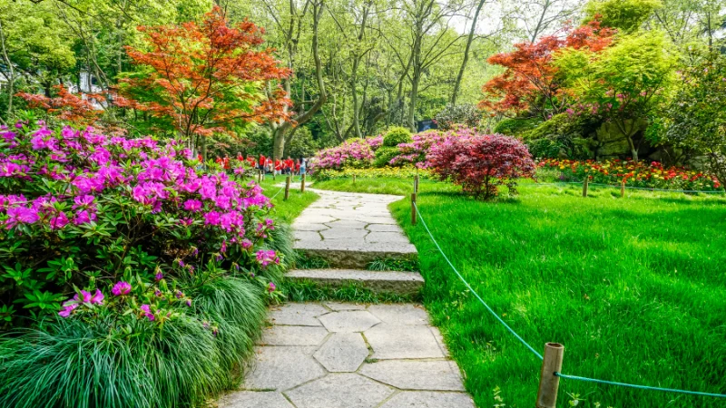 Landscape garden with blooming flowers