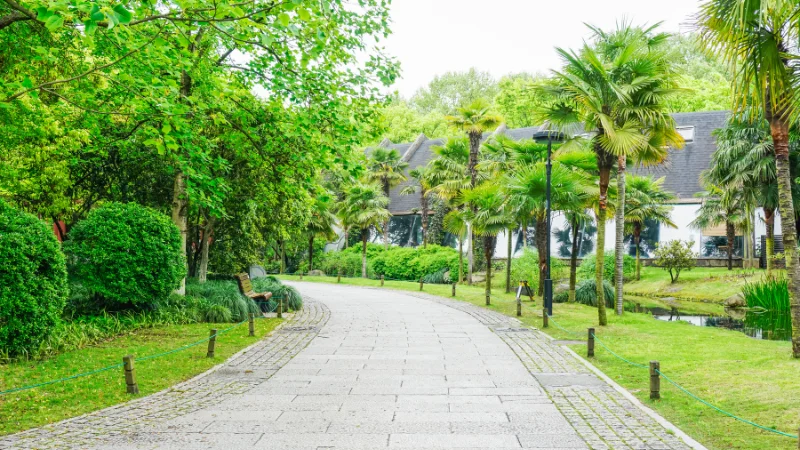 Landscape garden with fountain and pond