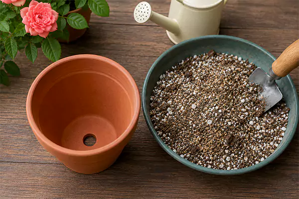 pot and soil mix