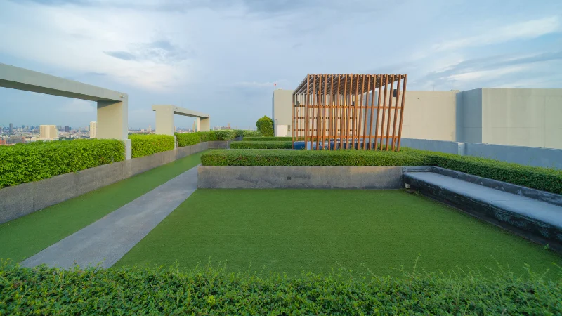Urban roof garden with lush greenery