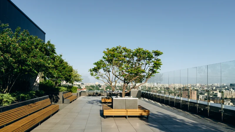 Roof garden with vegetables and herbs