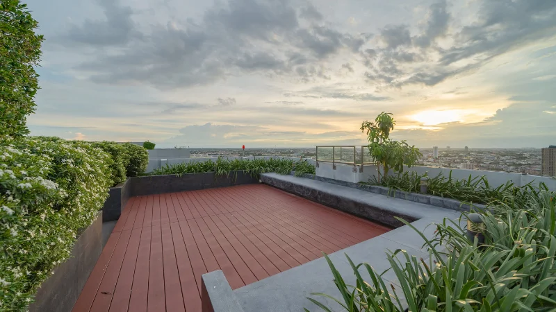 Roof garden with ornamental plants