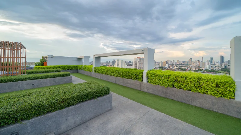 Beautiful rooftop garden with city skyline