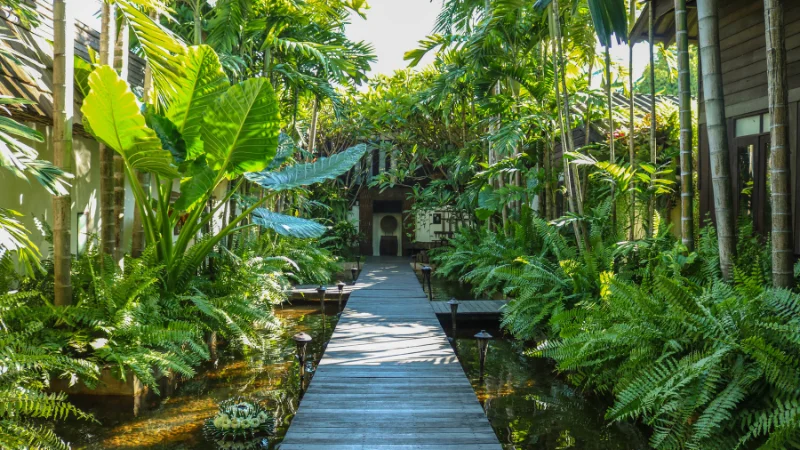 Lush tropical garden with palm trees and plants