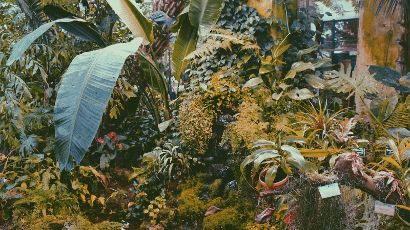 Tropical garden with peaceful seating area