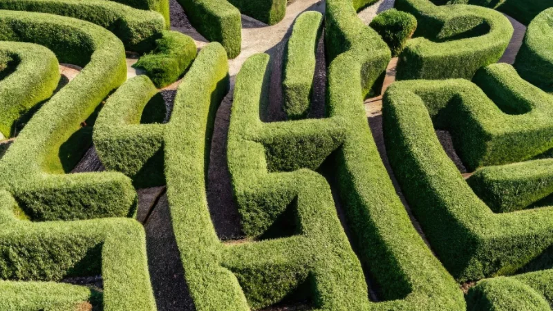 Elegant turf maze with garden greenery