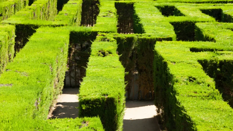 Traditional turf maze with manicured hedges