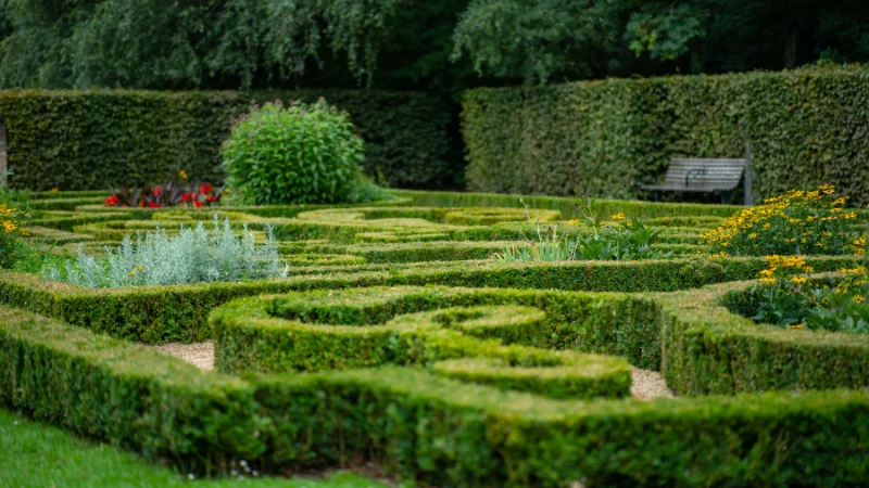 Pathway through a green turf maze