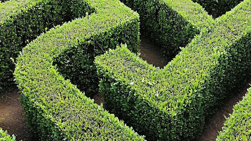 Scenic view of a turf maze garden