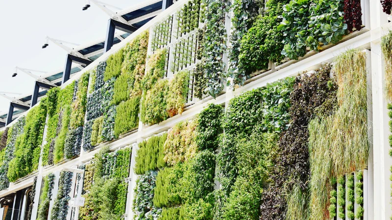 Modern vertical garden with wall plants