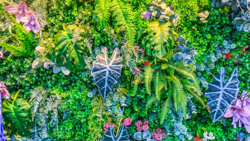 Indoor vertical garden with decorative plants