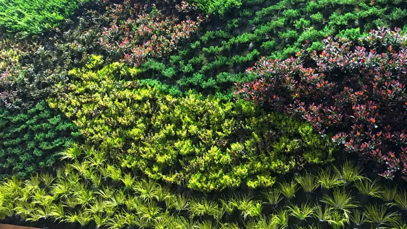 Small vertical garden for limited spaces