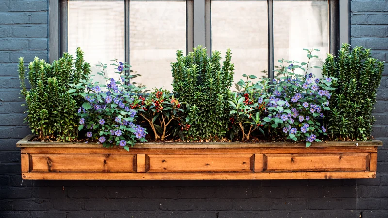 Window box filled with blooming flowers