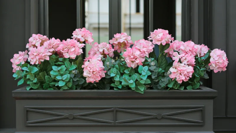 Modern window box garden with ornamental plants