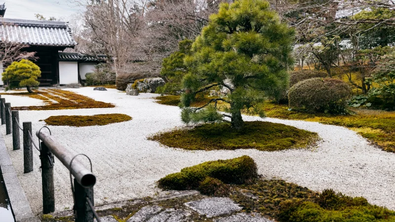 Zen garden with decorative rocks and sand