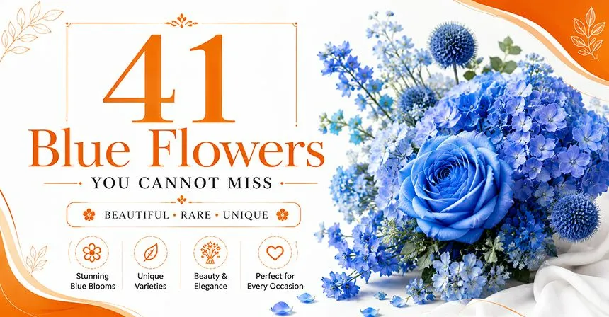 41 Blue Flowers You Cannot Miss1