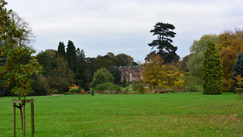 beautiful English landscape garden with lush greenery