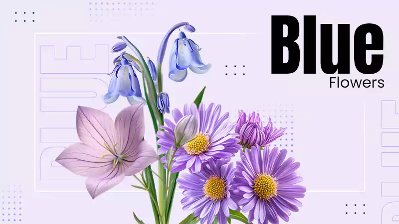 Blue Flowers