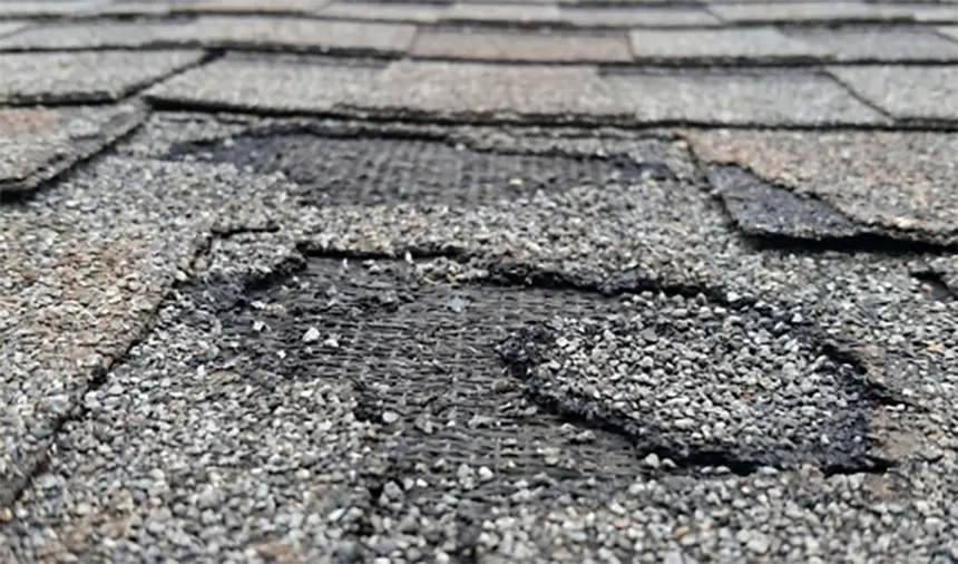 Close-up of an asphalt shingle with granules knocked away, exposing the dark asphalt beneath.