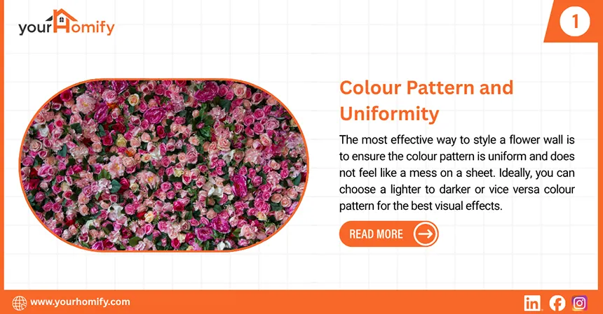 Colour pattern in flower walls